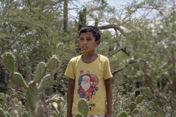 Enfrentando-la-crisis-climatica