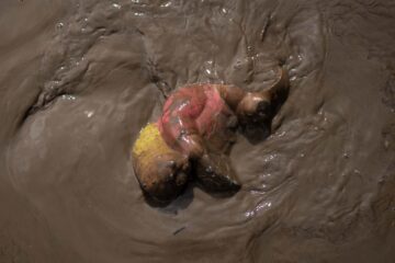 JUGUETE EN EL AGUA DURANTE INUNDACIÓN EN VERACRUZ